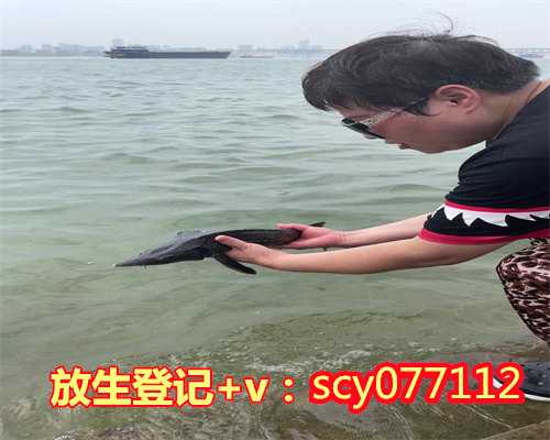 扬州野生乌龟放生，扬州哪个公园能放生石螺啊，扬州快速放生500万个生命